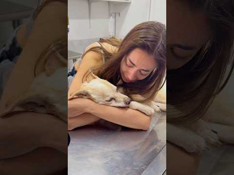 Me despedí de mi perrita… 💔🕊️