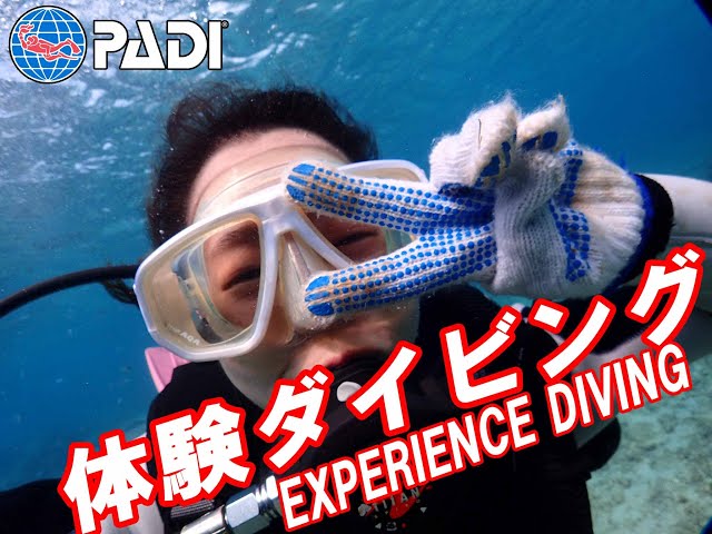 沖縄ダイビングライセンス フリースタイル