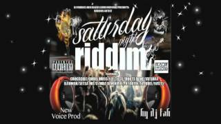 Saturday Night Riddim Mix (Dr. Bean Soundz)[2013 DJ Fab & Black Lizard Studios]