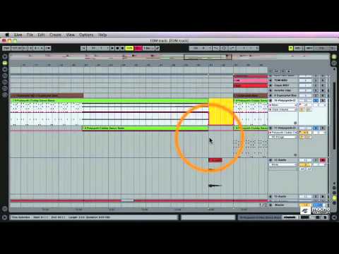 Live 8 404 - Making Electronic Dance Music - 45: Resampling the Synth