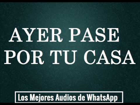 Ayer pase por tu casa - Los Mejores Audios de WhatsApp