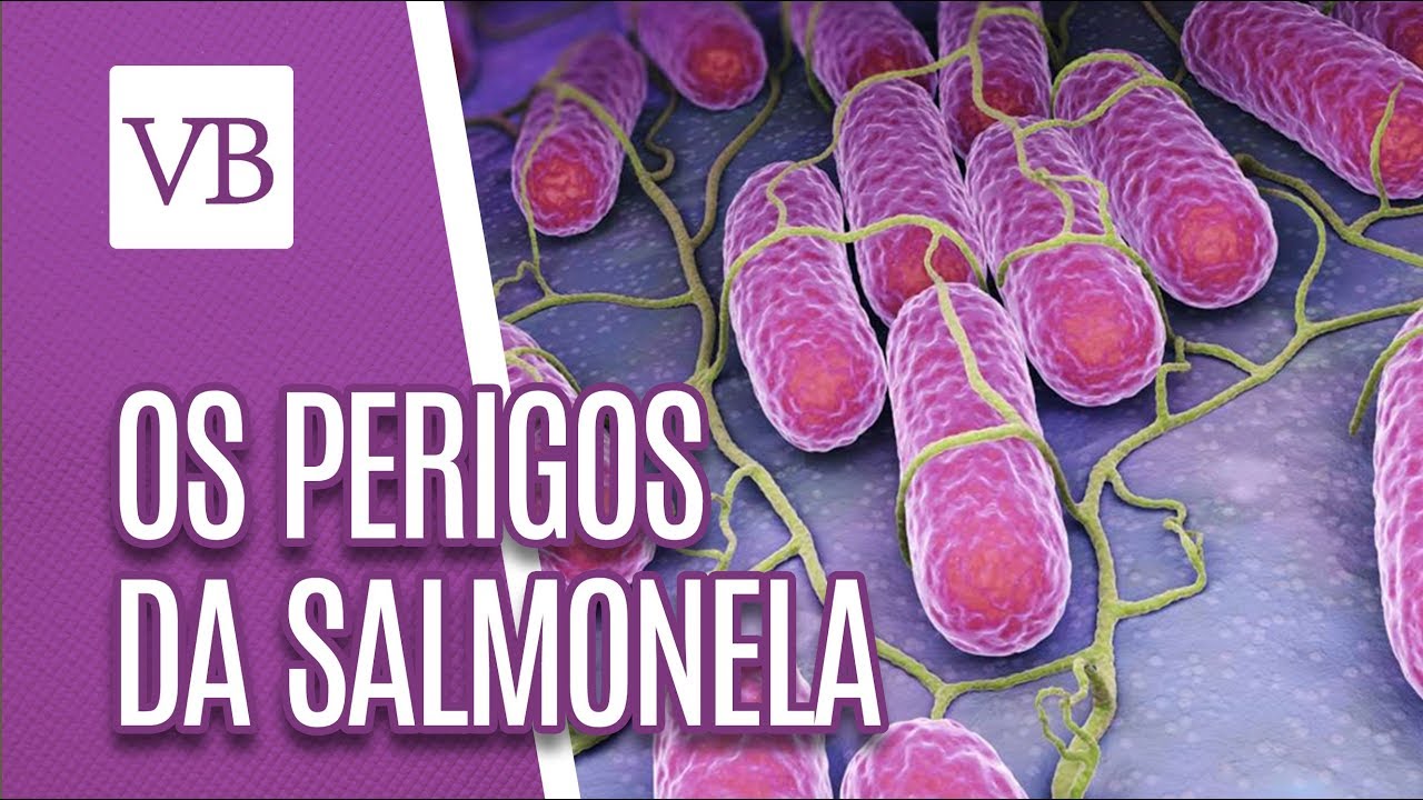 Os perigos da salmonela - Você Bonita (19/02/19)