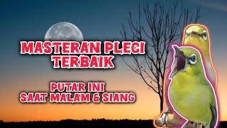 Download lagu mudah di tiru pleci - masteran pleci terbaik mp3 Download lagu mudah di tiru pleci - masteran pleci terbaik mp3
