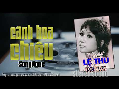 Cánh hoa chiều Sheet - Lệ Thu