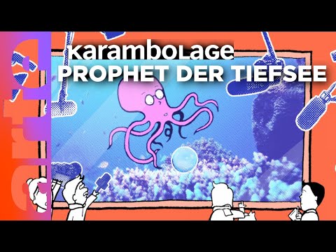 Paul der Krake | Karambolage | ARTE