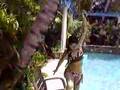 Corrine As Tarzan Women