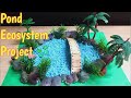 How to make Pond ecosystem Model/DIY Pond school project/Model for school exhibition/Kansal Creation