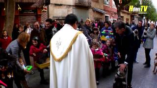 preview picture of video 'Blessing of the animals in Frailes'