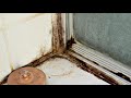 Who do I call if I find mold in my home or business? SERVPRO of Pflugerville.
