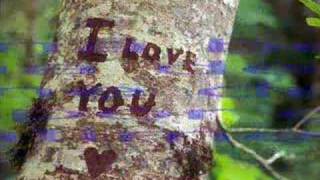 Babado Novo - Distante de você