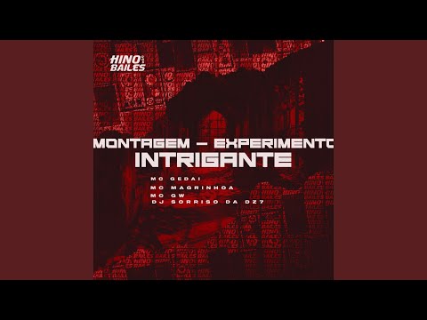 Montagem - Experimento Intrigante