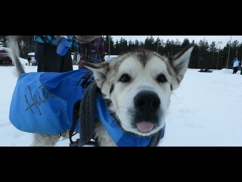 Mad About Snow 2015 - Atmosphere