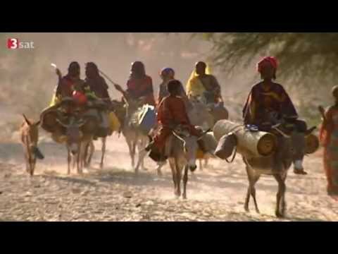 Gärten in der Halbwüste - Sahelzone leidet stark unter dem Klimawandel