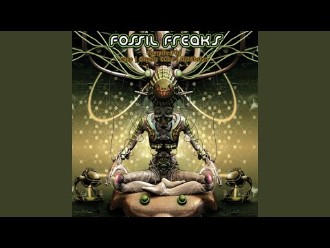 Disruptive Fantasies