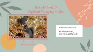 BI303 3min video: Optimal Foraging Theory