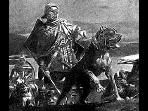 Tibber Squadd - Mezzi Pesanti