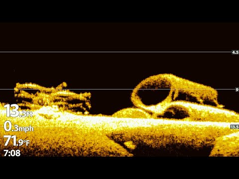 Humminbird Helix Down Imaging Settings and Images