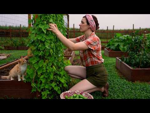 Life in the Countryside: Make Peach Cobbler 🍑 Preserving Fruit for Winter 🌼 Slow Living