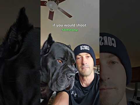 Would You Shoot Someone For Trying To Steal Your Dog? #shorts #dog