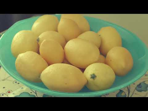 Cats world hd stock video