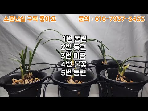 유튜브 썸네일