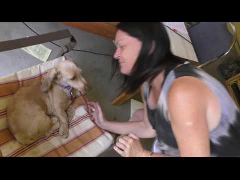 Welcome to the ECETI Ranch