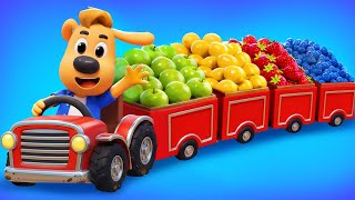 Sheriff's Harvesting Adventure | The Giant Pumpkin | Sheriff Labrador | Kids Cartoon | BabyBus