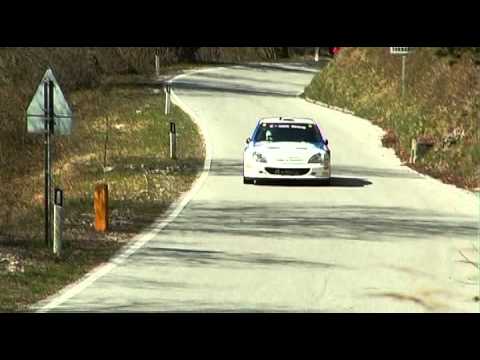 RALLY 1000 MIGLIA 2014 BY BELLUNOVIDEO
