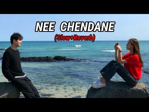 NEE CHENDANE (Slow+Reverb) || #bahaddurali