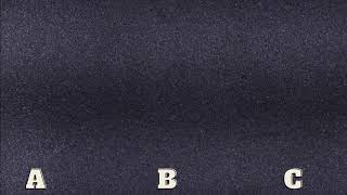 11/25/2024 - Live Coin Auction