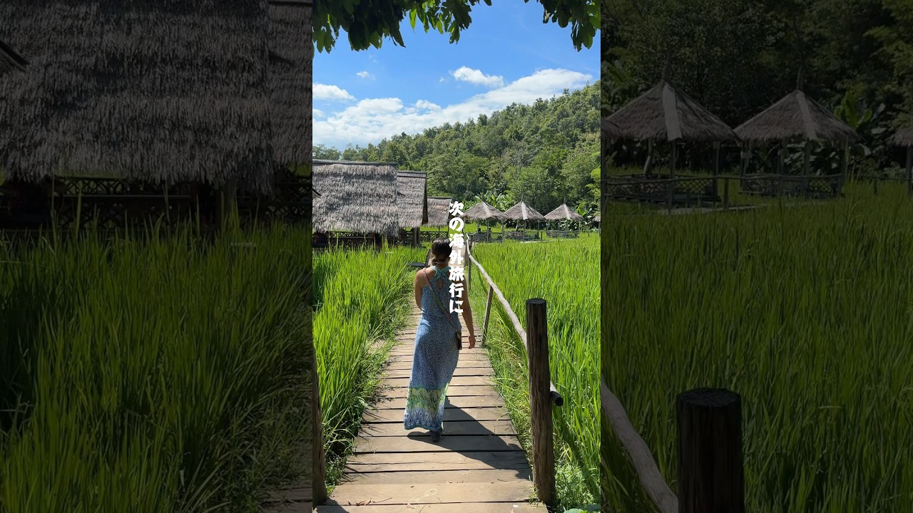 【ラオス旅行】初めて翻訳機使ってみたら楽しさ倍増した