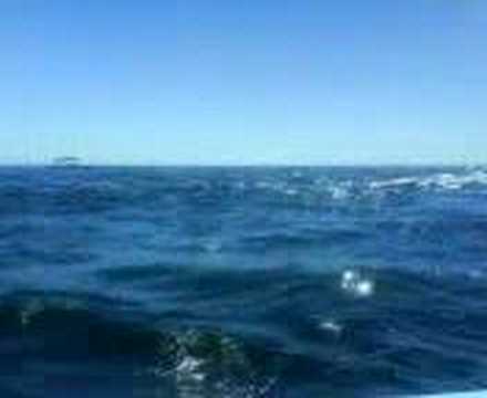 cumpleaños de jorge eduardo