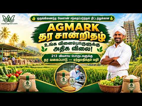  விவசாய விளைபொருட்களுக்கு அதிக மதிப்பு கிடைக்குமா? | AGMARK சான்றிதழ் முழு தகவல்