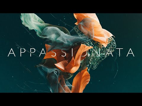 OUT NOW: Spitfire Appassionata Strings