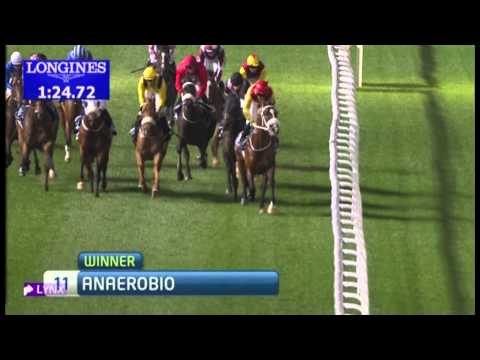 28.02.2013 Meydan (Dubai-UAE) 6.Race CBD Mortgage Loan - 1.400 m