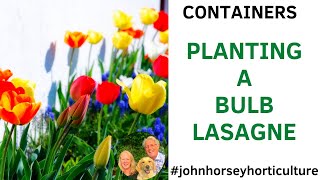HOW TO PLANT A BULB LASAGNE IN A CONTAINER - BULB LASAGNE POT PLANTING