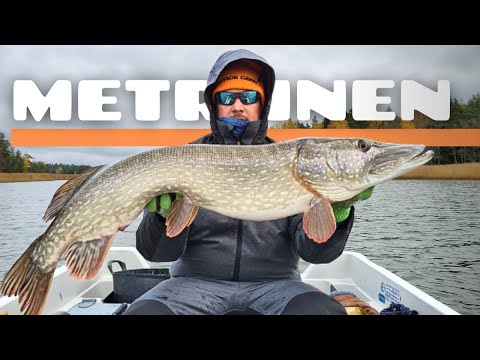 Viime hetken tärppejä [ Syyshauen kalastusta merellä ]