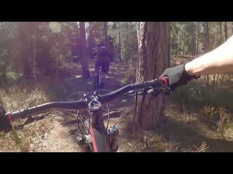 Best flow trails near Oslo