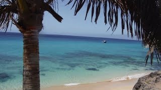 preview picture of video 'Fuerteventura: The golden island | La isla dorada'