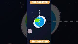 Water Tides | Spring & Neap Tides