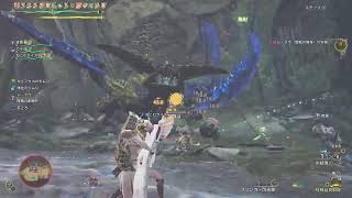 [モンハンワイルズ PS5 参加型]なんかする