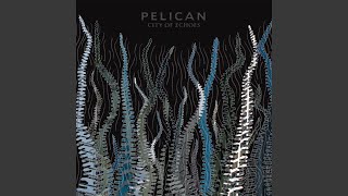 Music video thumbnail preview for A Delicate Sense of Balance by Pelican