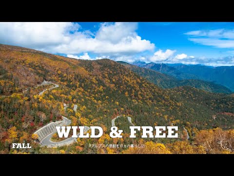 乗鞍高原 (Norikura Kogen) - Wild & Free Autumn