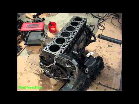 5.9 Cummins Build.