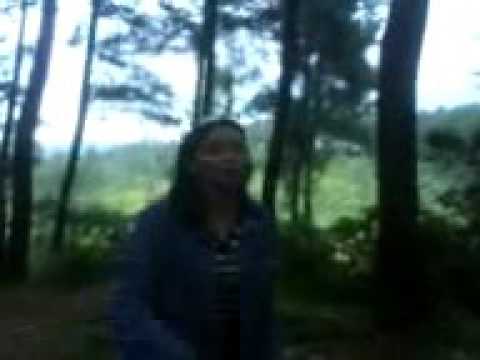 Setulus hatimu semurni cintaku - Arie koesmiran