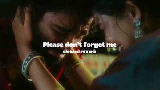 Download lagu Please don't forget me slowed reverb (from ‘dude’) mp3 Download lagu Please don't forget me slowed reverb (from ‘dude’) mp3