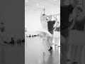 Swan Lake Crafting A Timeless Dream Shorts Ballet