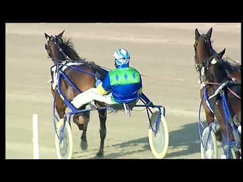 Napoli Trotto 13/02/2022 - 5ª corsa