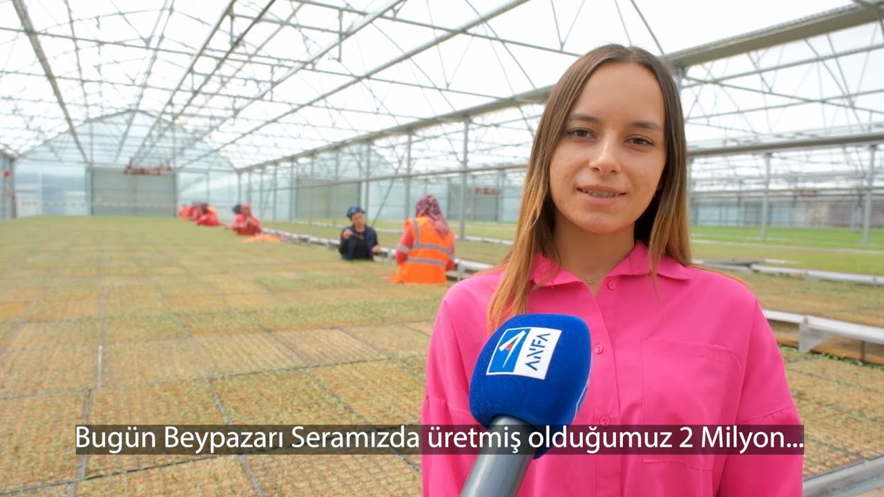 BEYPAZARI SERA TEKLEME