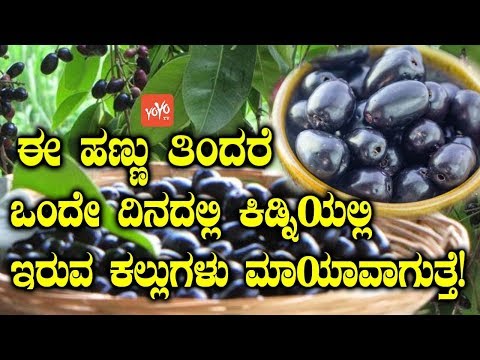 download lagu mp3 mp4 Nerale Hannu In Kannada, download lagu Nerale Hannu In Kannada gratis, unduh video klip Download Nerale Hannu In Kannada Mp3 dan Mp4 Music Gratis